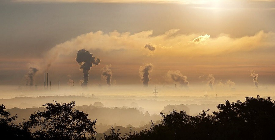 La contaminación puede ser la causante de que seamos cada vez más tontos 1 La contaminación puede ser la causante de que seamos cada vez más tontos