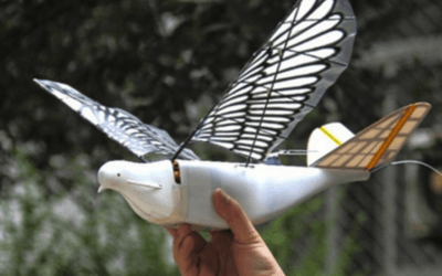China despliega drones en forma de pájaro para vigilar a sus ciudadanos