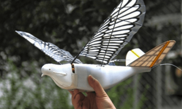 China despliega drones en forma de pájaro para vigilar a sus ciudadanos