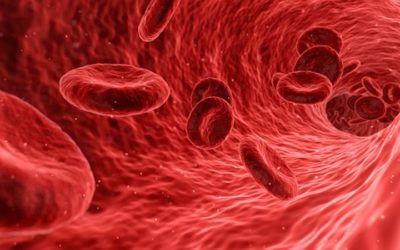 Estamos a un paso de crear sangre universal válida para todos los pacientes