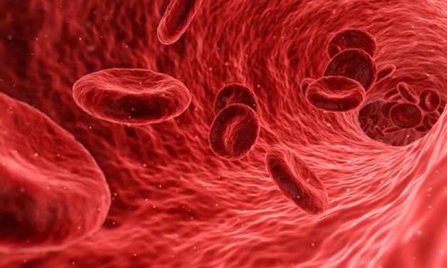 Estamos a un paso de crear sangre universal válida para todos los pacientes