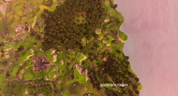soto_solitario_fortnite