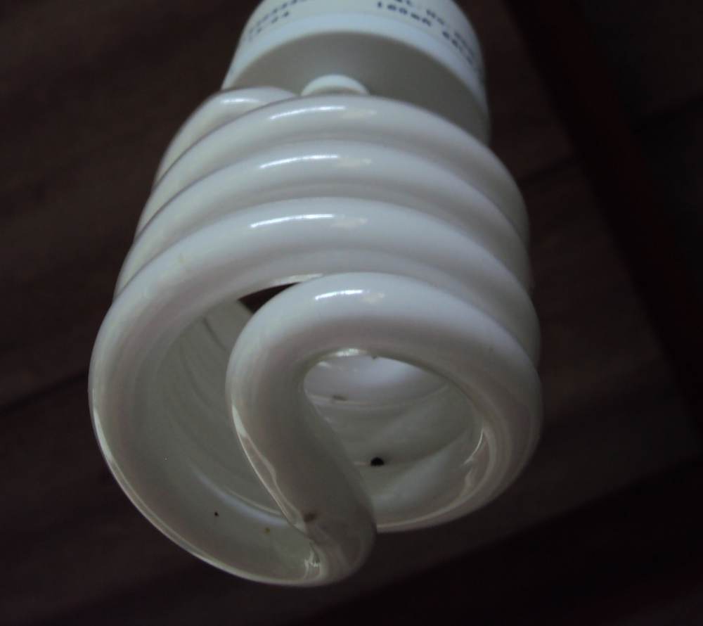 Adiós a las bombillas halógenas, verdades y mentiras de las LED 3 Bombillas y LED 04