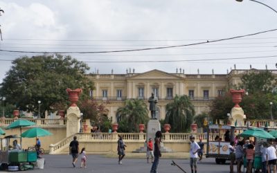 Wikipedia recuperará fotos de las piezas del Museo de Brasil quemado