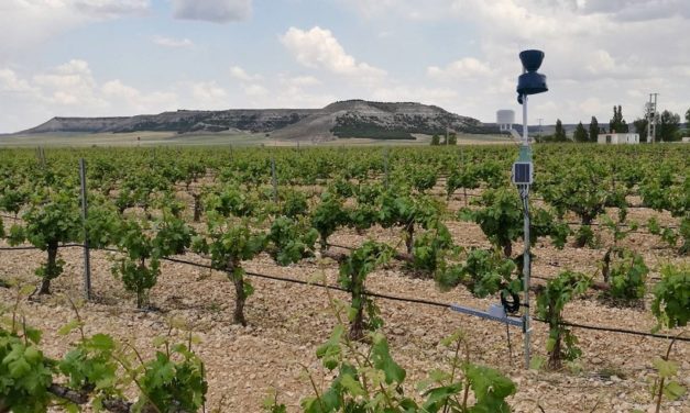 La tecnología llega a las bodegas de Ribera del Duero