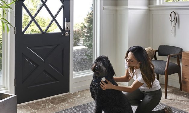 Samsung no quiere que vuelvas a perder ni las llaves ni el perro