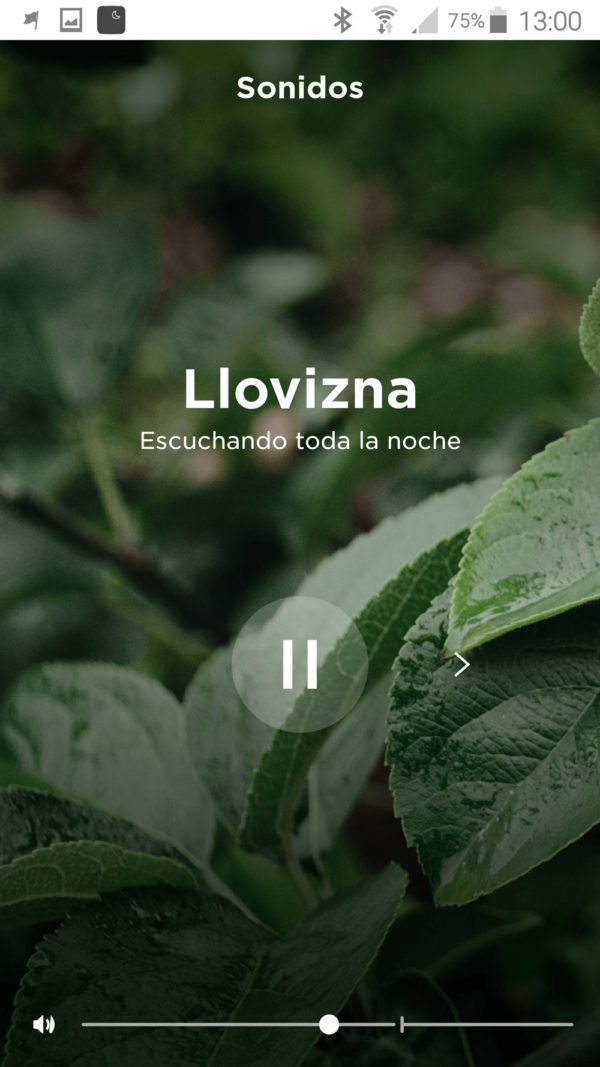 Captura Bose Sleep (12)