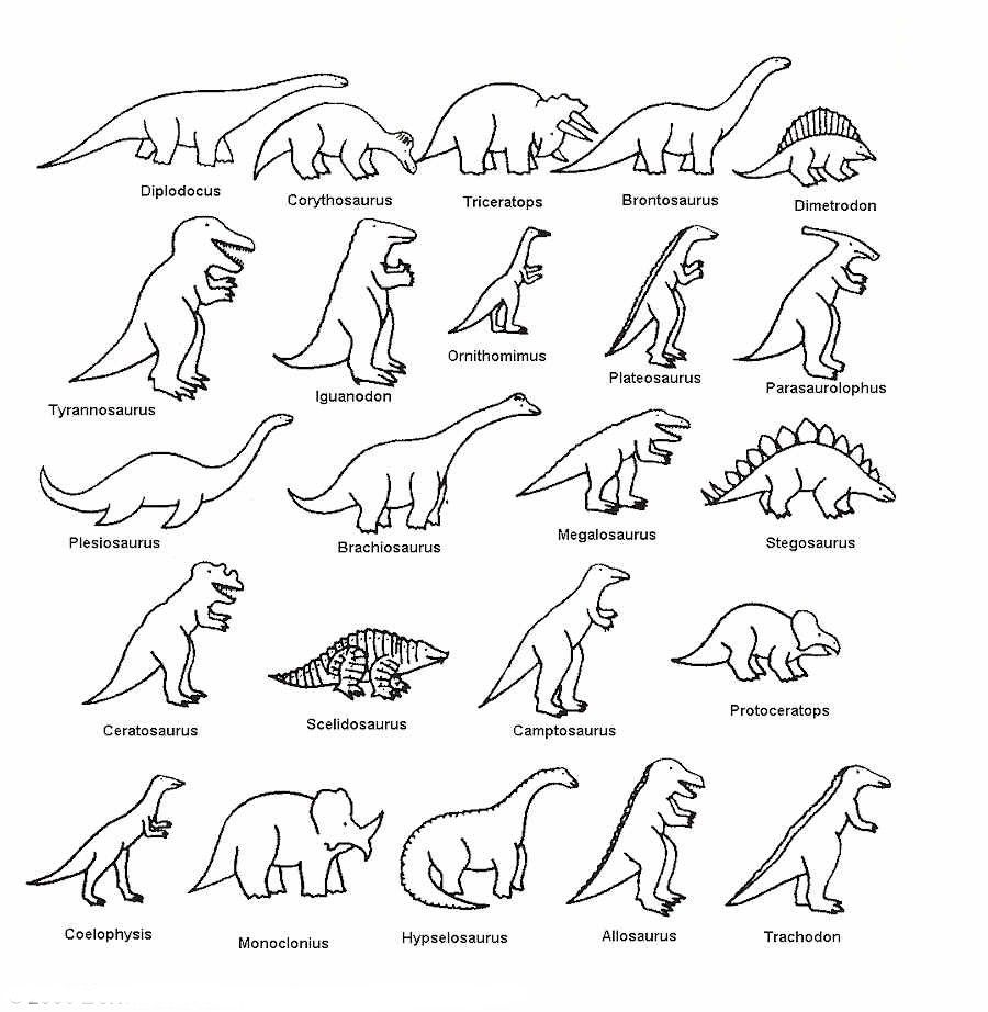 Dinosaurios para pintar: dibujos para descargar