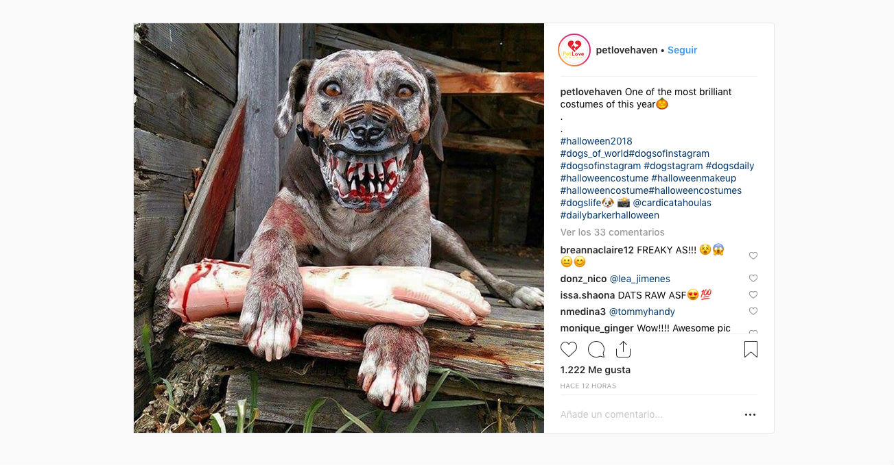 Los 10 mejores disfraces de Halloween que hemos visto en redes sociales 5 perro rabioso