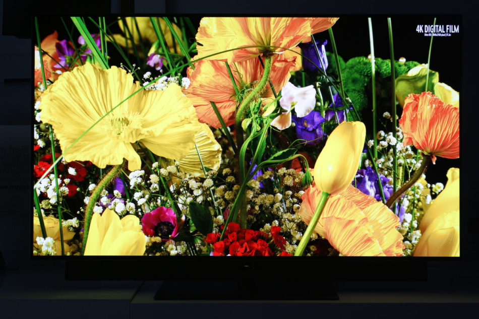 Loewe Bild 3.55 OLED (32)