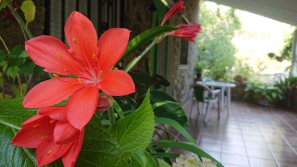 Sony-Xperia-XZ3-galeria-2-2