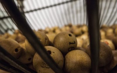 Cómo comprar lotería de Navidad 2018 por Internet