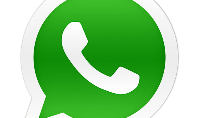 Cómo usar los stickers de WhatsApp Web