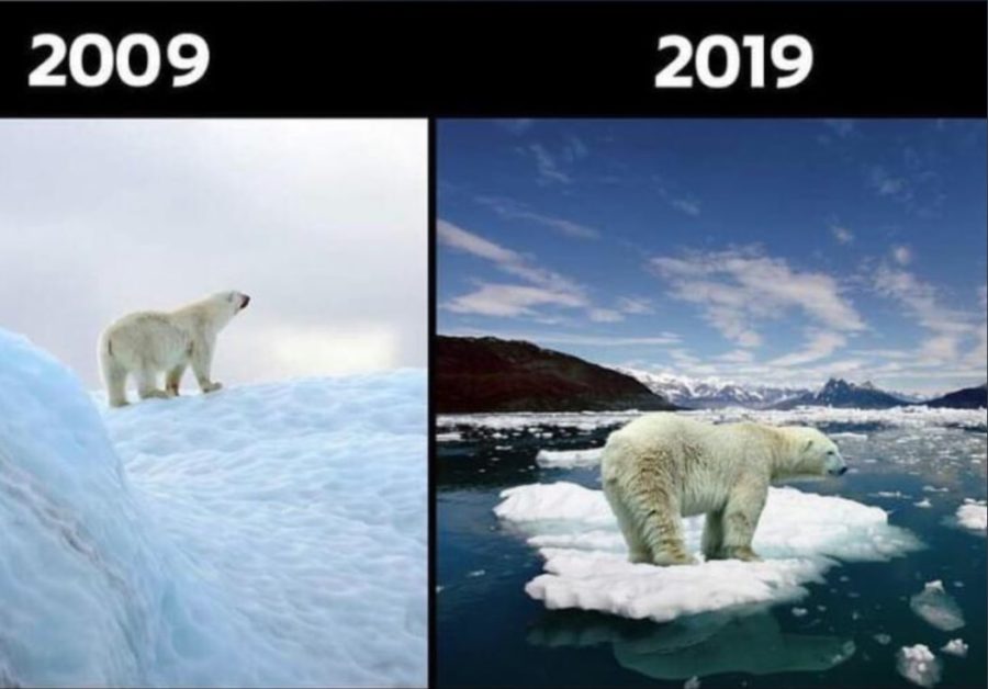 10yearchallenge 03