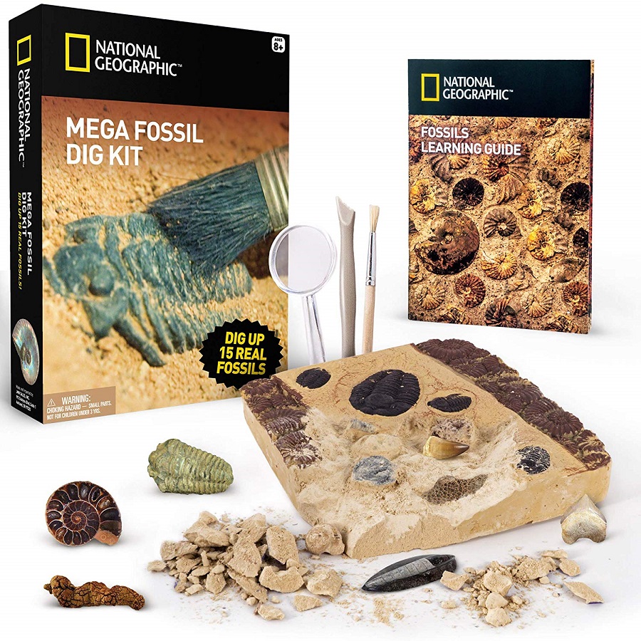 National Geographic Kit de yacimiento de fósiles reales