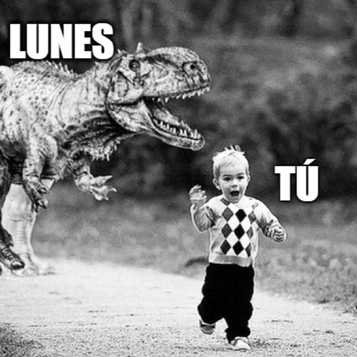 lunes-07