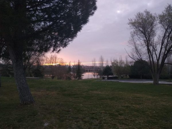 fotografia cámara motorola moto g7 power 19-min
