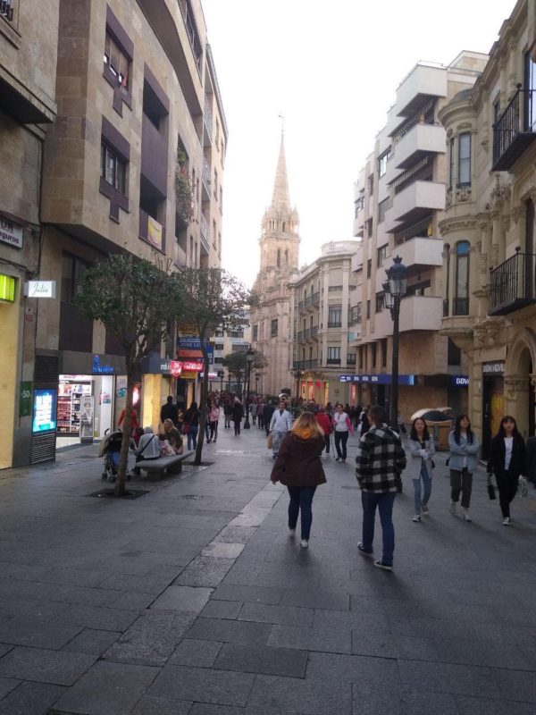 fotografia cámara motorola moto g7 power 8-min