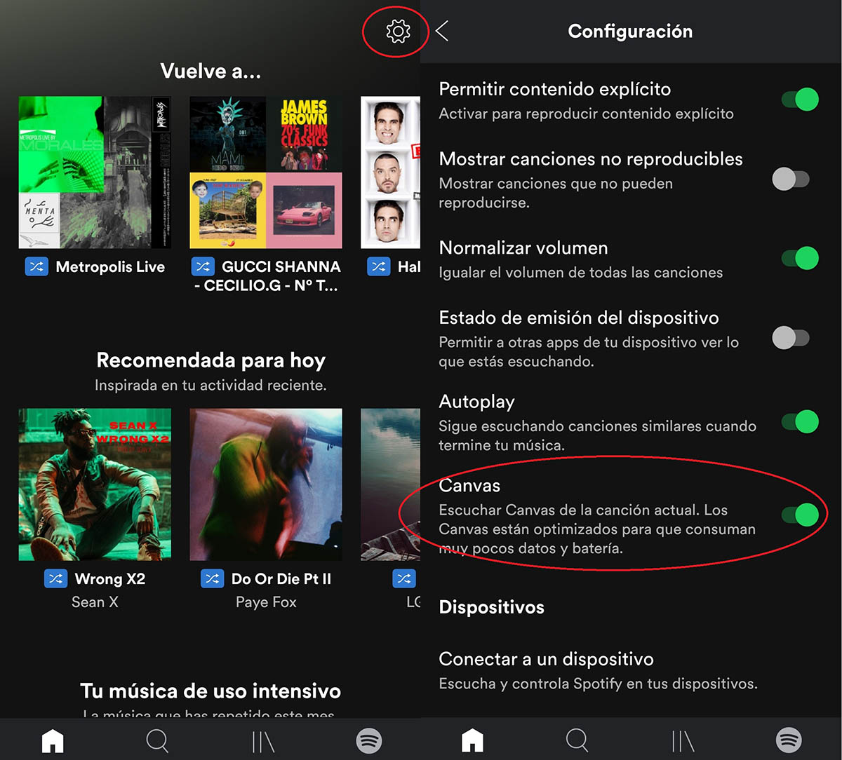 Cómo desactivar los vídeos de fondo de Spotify 2 canvas