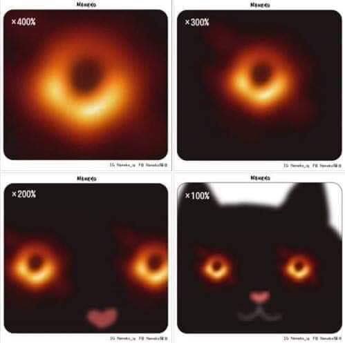 Los mejores memes de la histórica foto del agujero negro 3 agujero negro gato