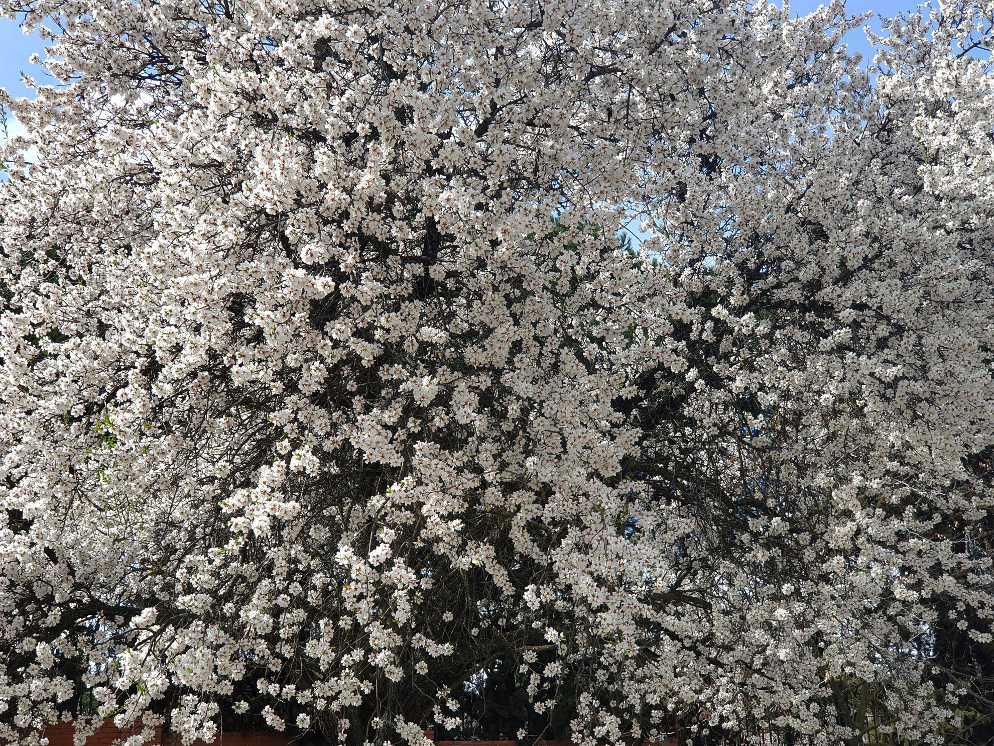 foto samsung galaxy s10 303
