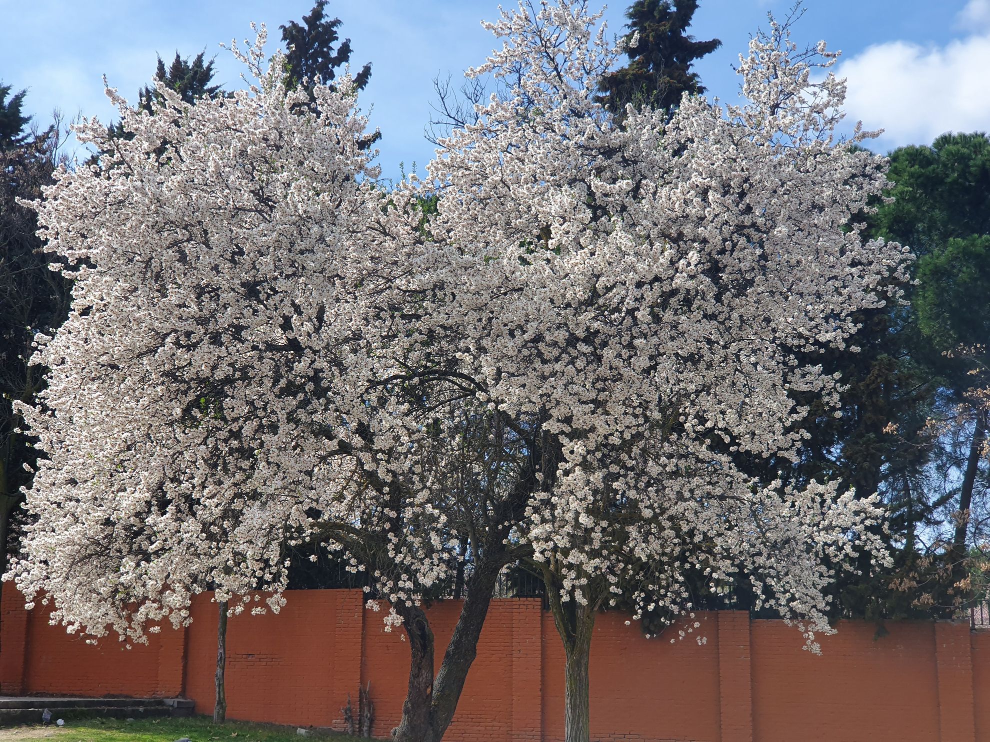 foto samsung galaxy s10 306