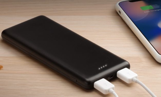 TP-Link Powerbank TL-PB10000, batería con carga de 10.000 mAh