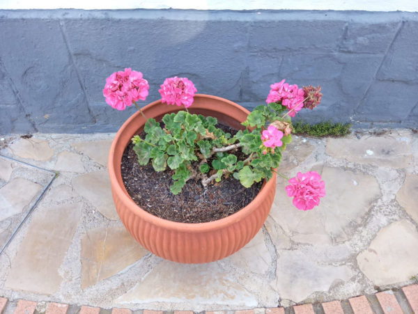 20190530_172917_HDR