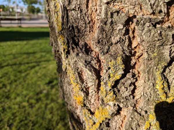 analisis google pixel 3a 22