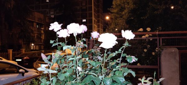 OnePlus-7-pro-galeria-21