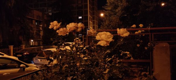 OnePlus-7-pro-galeria-22