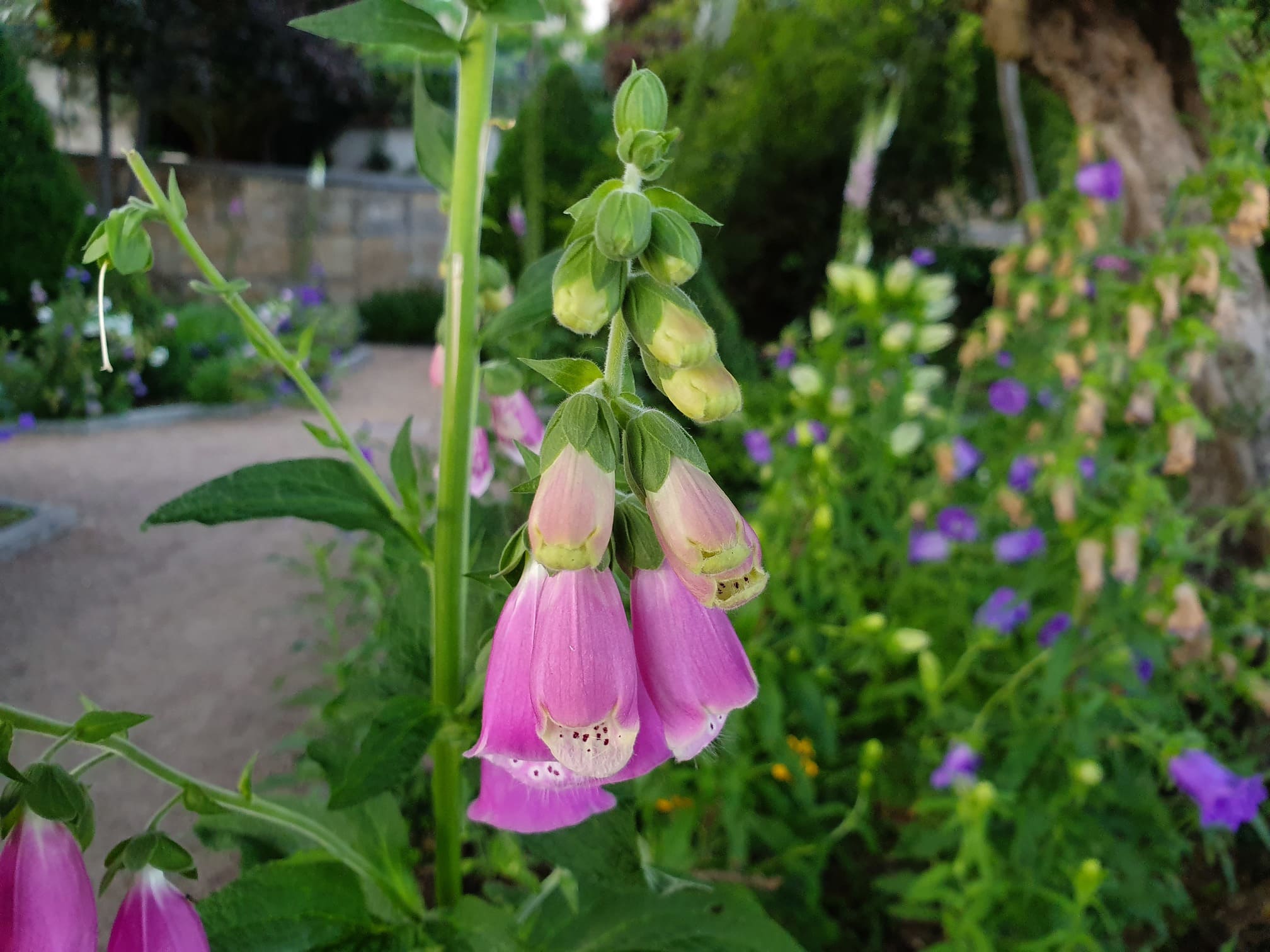 20190603_212940
