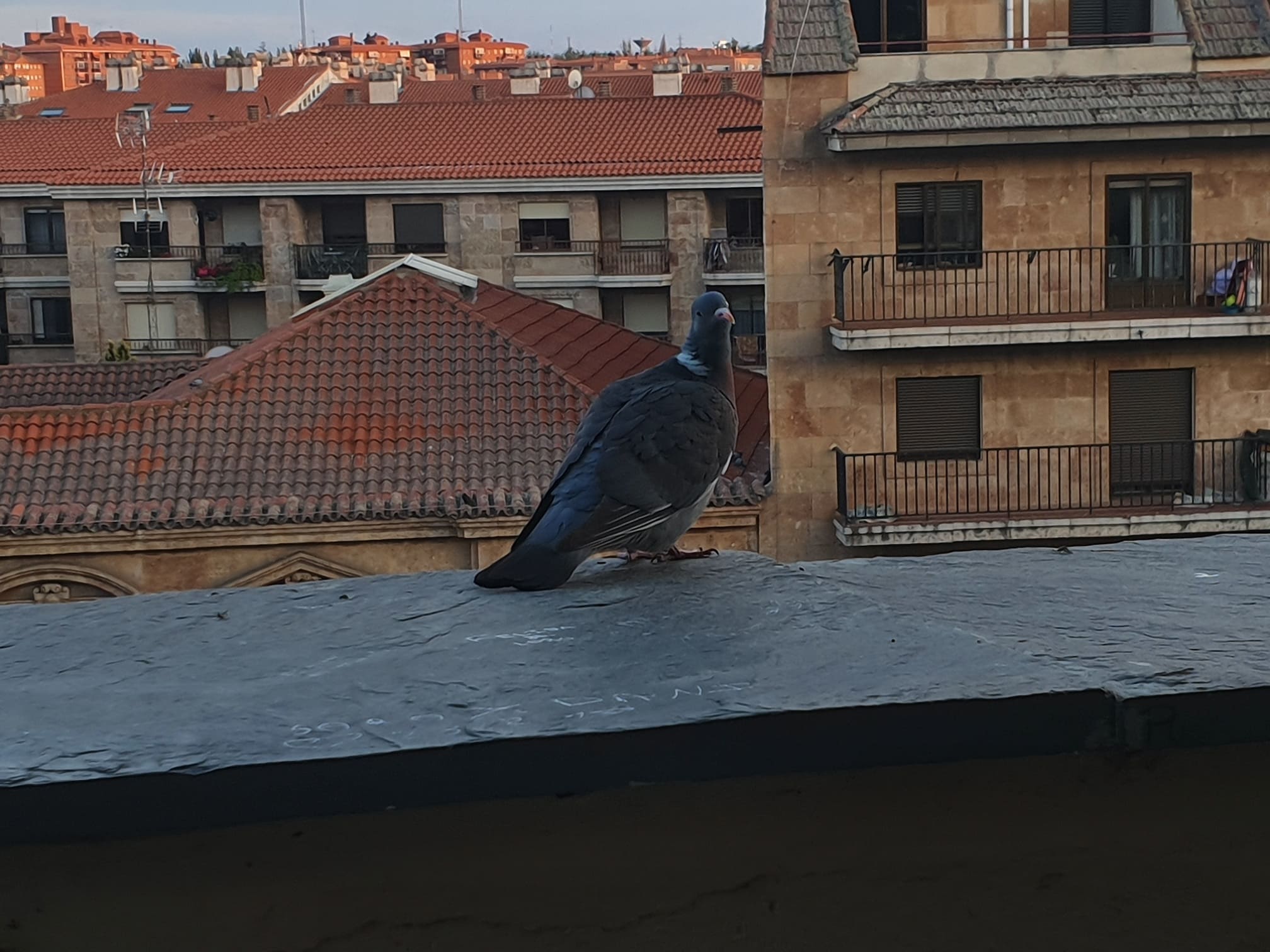 20190605_213612
