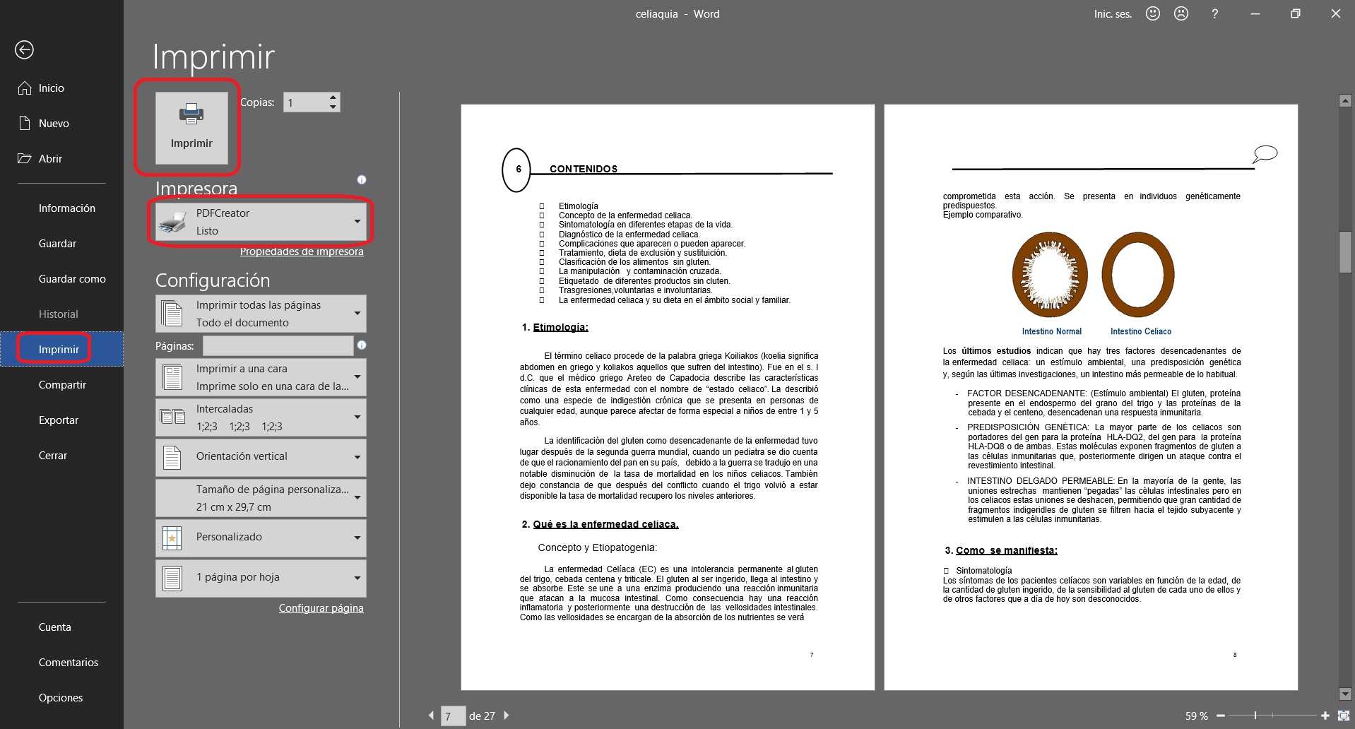 5 formas de guardar un documento Word como un documento PDF 6