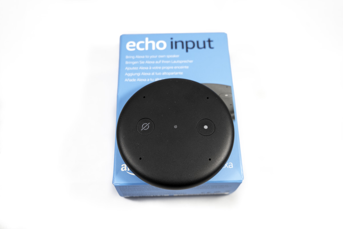 Echo Input, análisis con características, configuración y opinión