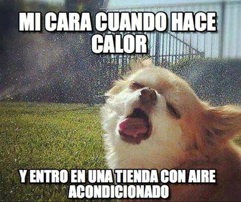 Los memes más divertidos de la ola de calor para compartir por WhatsApp 9 meme ola de calor 08