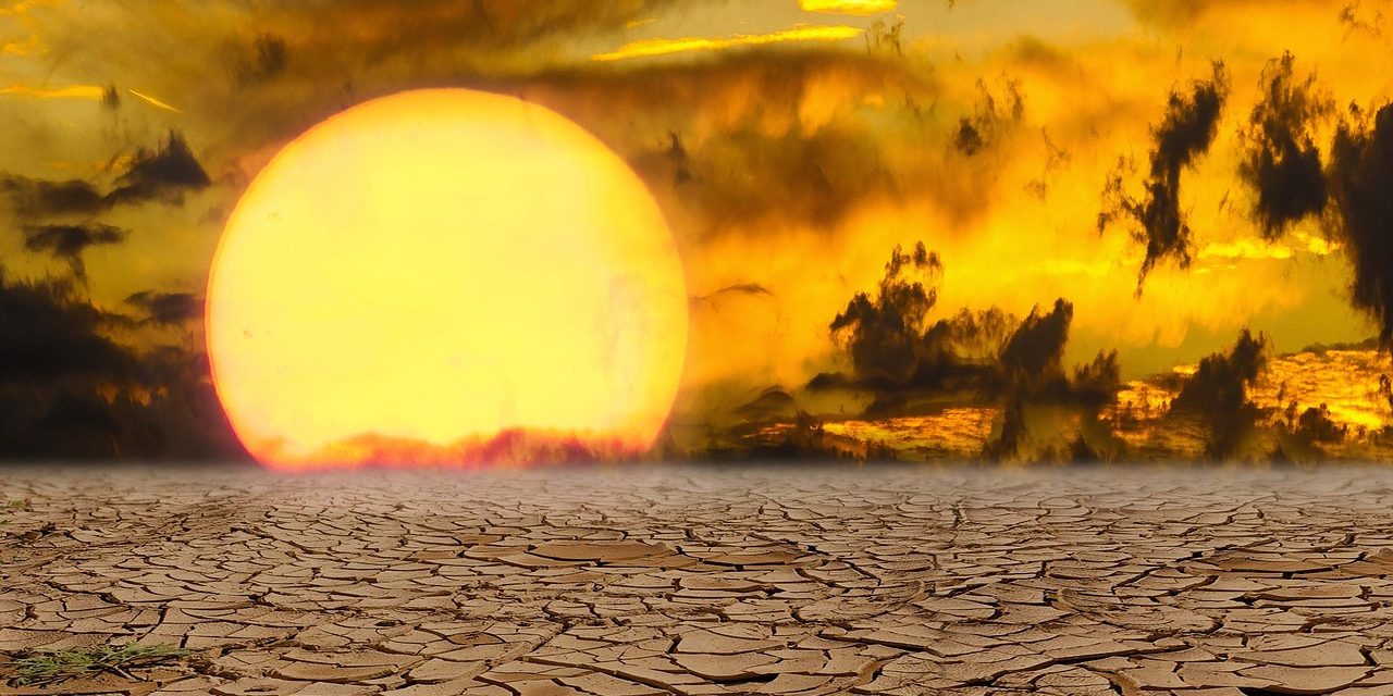 Los memes más divertidos de la ola de calor para compartir por WhatsApp