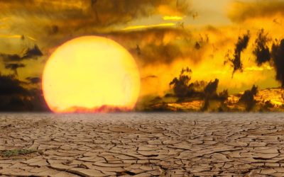 Los memes más divertidos de la ola de calor para compartir por WhatsApp