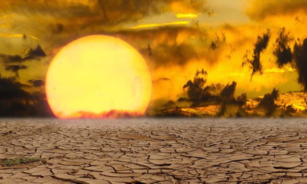 Los memes más divertidos de la ola de calor para compartir por WhatsApp