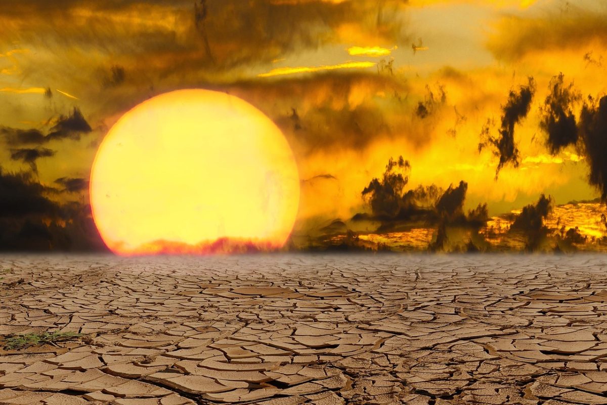 Los memes más divertidos de la ola de calor para compartir por WhatsApp 1 Los memes más divertidos de la ola de calor para compartir por WhatsApp