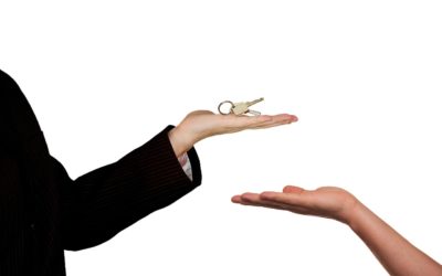 House Sitting, qué es y mejores webs para practicarlo