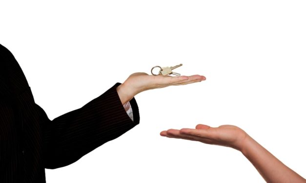 House Sitting, qué es y mejores webs para practicarlo