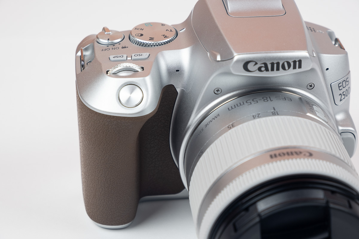 hemos probado Canon EOS 250D empuñadura