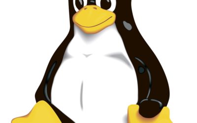 ¿Merece la pena usar Linux para jugar en 2019?
