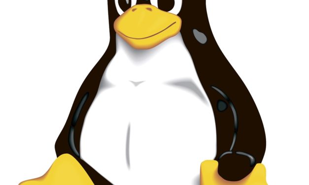 ¿Merece la pena usar Linux para jugar en 2019?