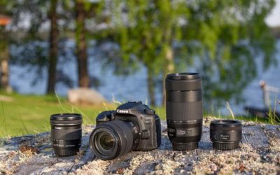 Canon EOS 90D, cámara réflex digital para fotografía de naturaleza