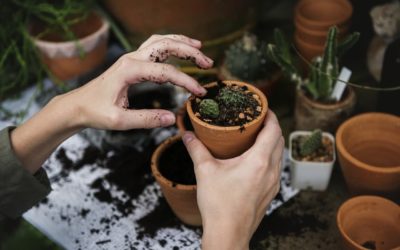 Tecnología para salvar el mundo, 10 inventos prácticos ecológicos