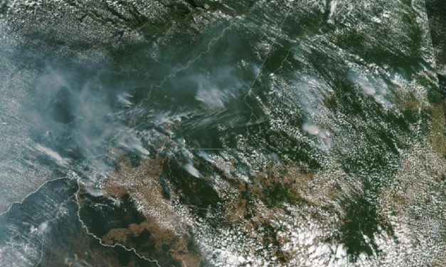 El desolador panorama desde el espacio de los incendios del Amazonas