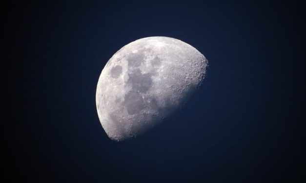 La primera nave espacial privada llegará a la Luna en dos años