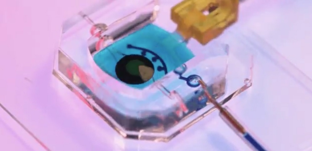 Científicos crean una réplica del ojo humano en un chip